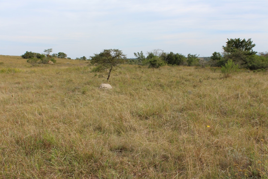 0 Bedroom Property for Sale in Bathurst Eastern Cape
